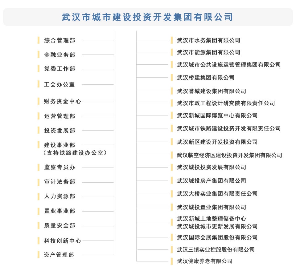 城投組織機構(gòu).jpg